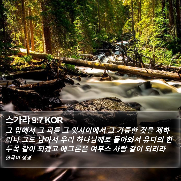 스가랴 9:7 KOR Bible Study