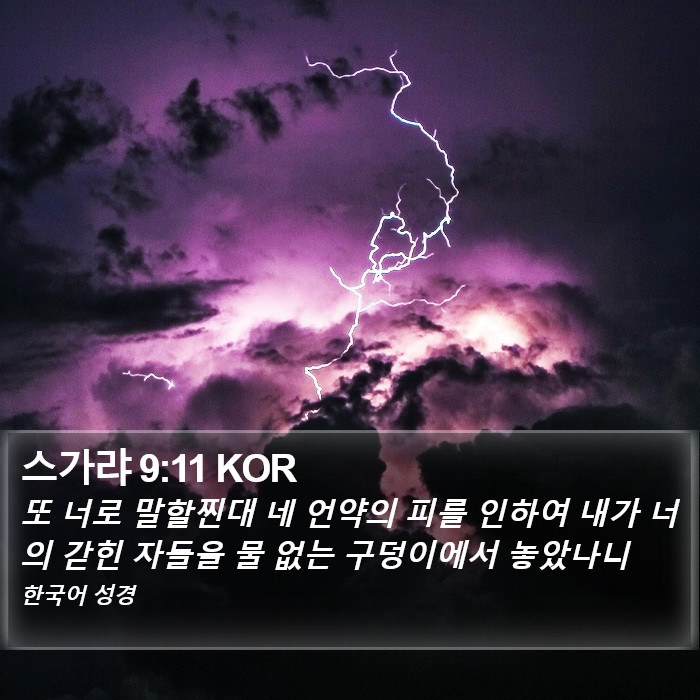 스가랴 9:11 KOR Bible Study