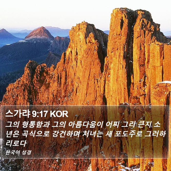 스가랴 9:17 KOR Bible Study