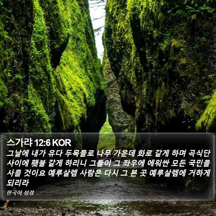 스가랴 12:6 KOR Bible Study