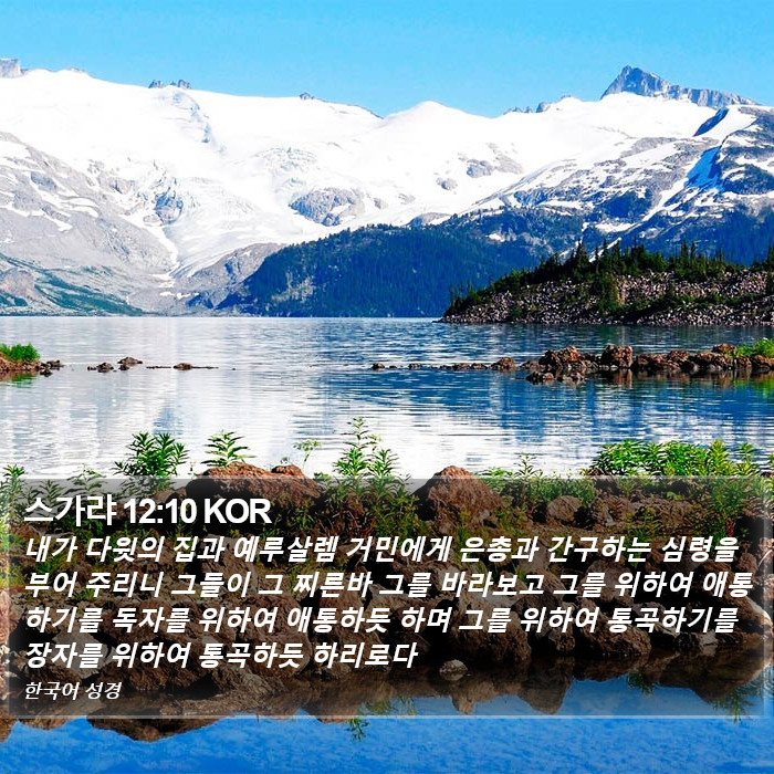 스가랴 12:10 KOR Bible Study