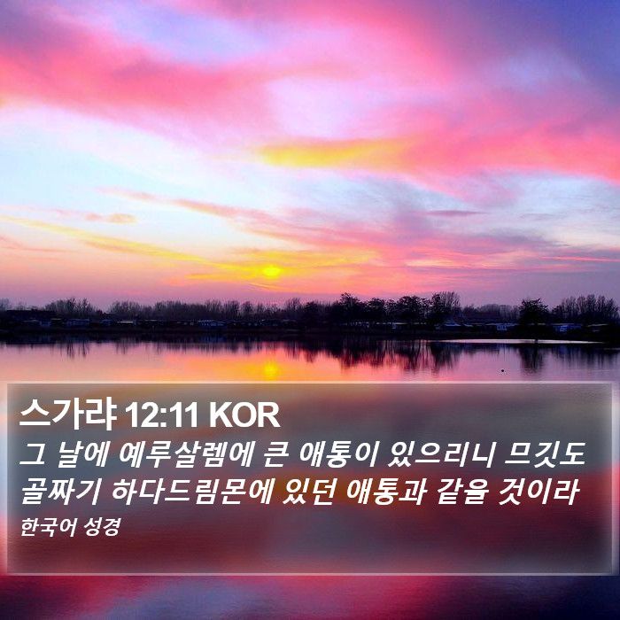 스가랴 12:11 KOR Bible Study