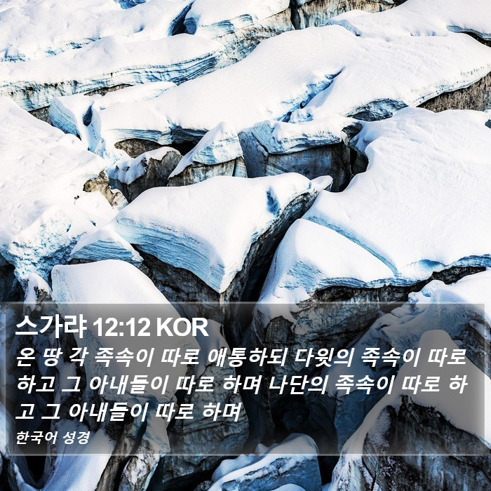 스가랴 12:12 KOR Bible Study