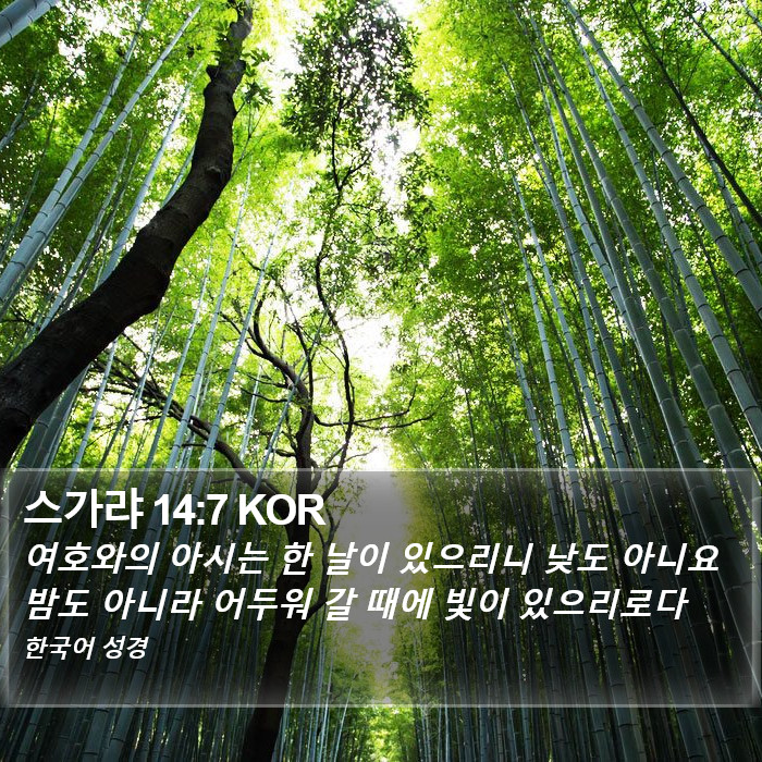 스가랴 14:7 KOR Bible Study