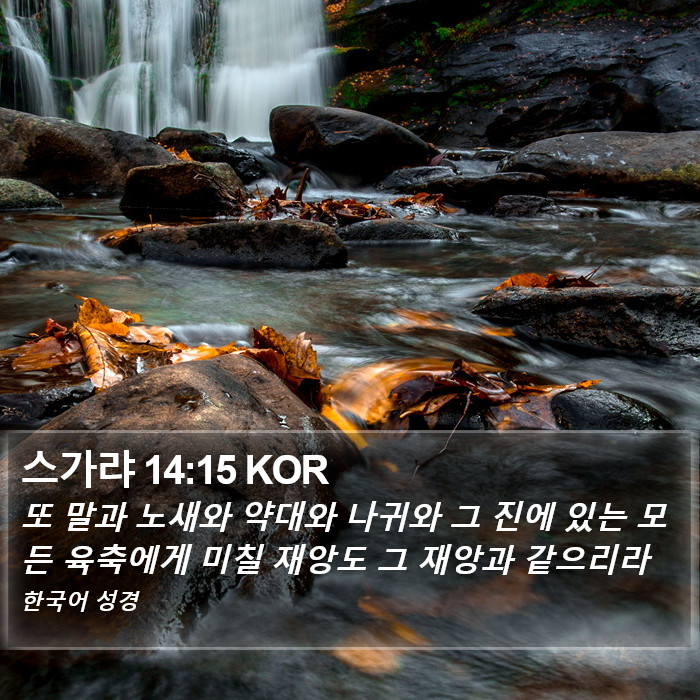 스가랴 14:15 KOR Bible Study