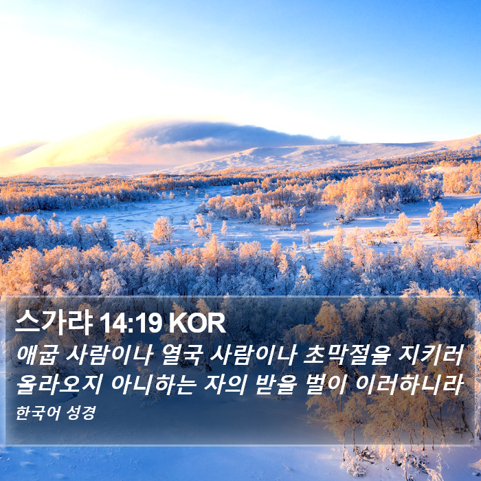 스가랴 14:19 KOR Bible Study