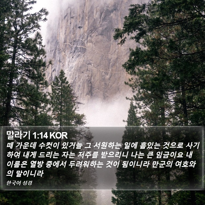 말라기 1:14 KOR Bible Study