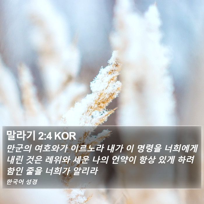 말라기 2:4 KOR Bible Study