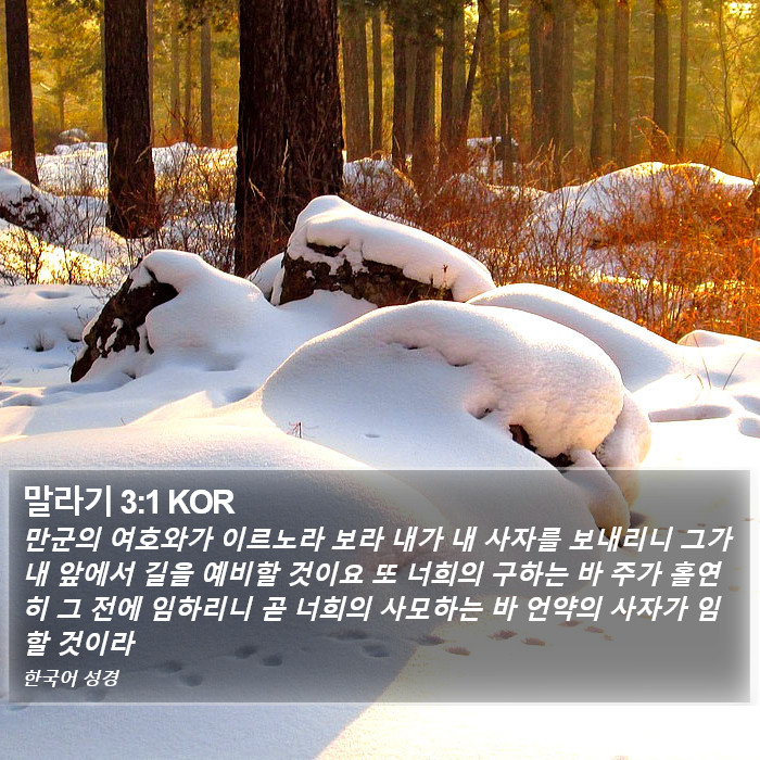 말라기 3:1 KOR Bible Study