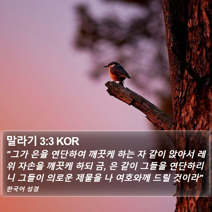 말라기 3:3 KOR Bible Study