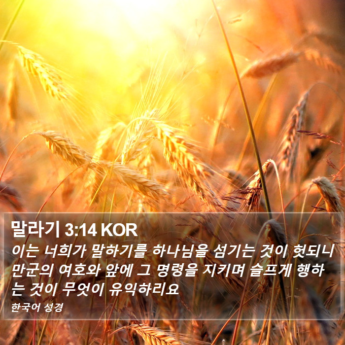 말라기 3:14 KOR Bible Study