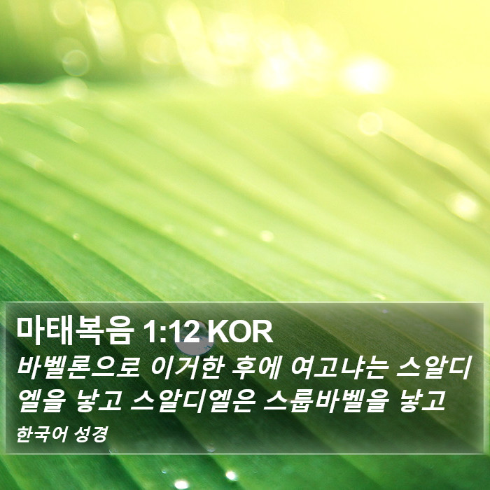 마태복음 1:12 KOR Bible Study