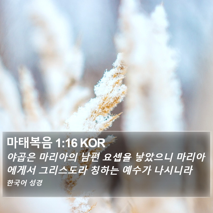 마태복음 1:16 KOR Bible Study