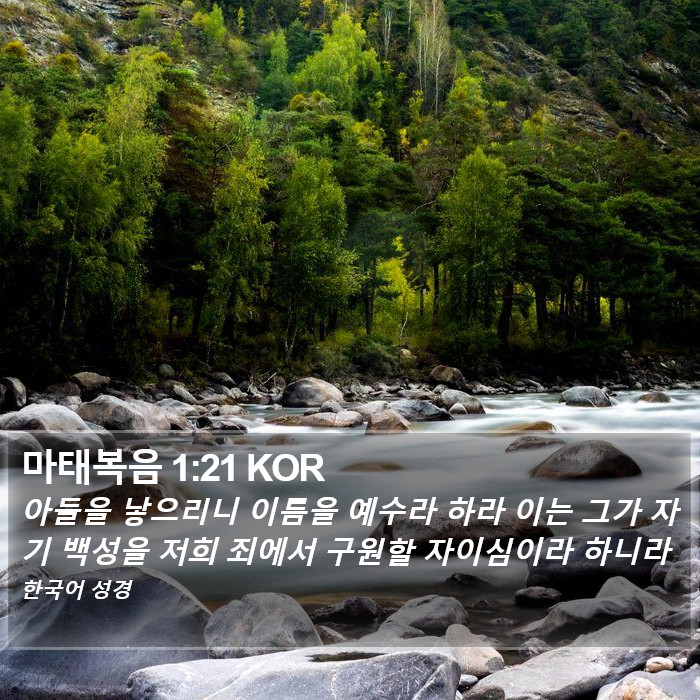 마태복음 1:21 KOR Bible Study