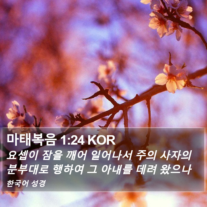 마태복음 1:24 KOR Bible Study