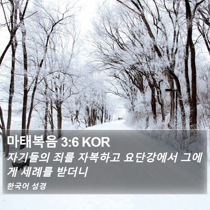 마태복음 3:6 KOR Bible Study