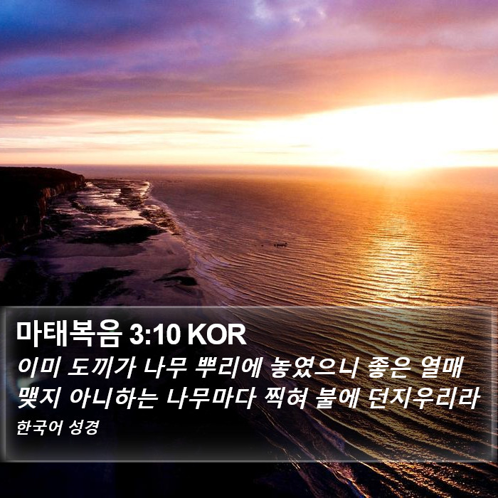 마태복음 3:10 KOR Bible Study