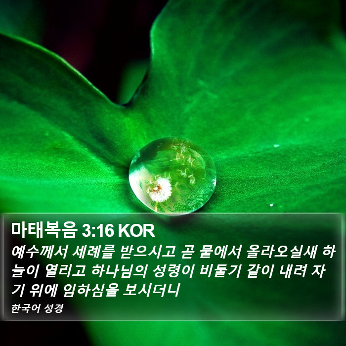 마태복음 3:16 KOR Bible Study