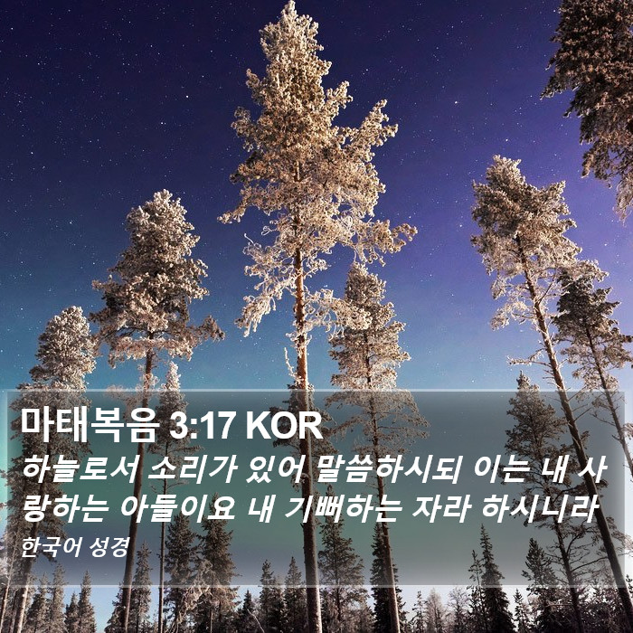 마태복음 3:17 KOR Bible Study