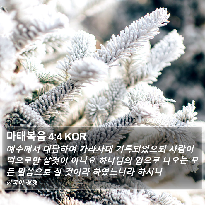 마태복음 4:4 KOR Bible Study