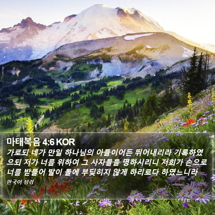 마태복음 4:6 KOR Bible Study