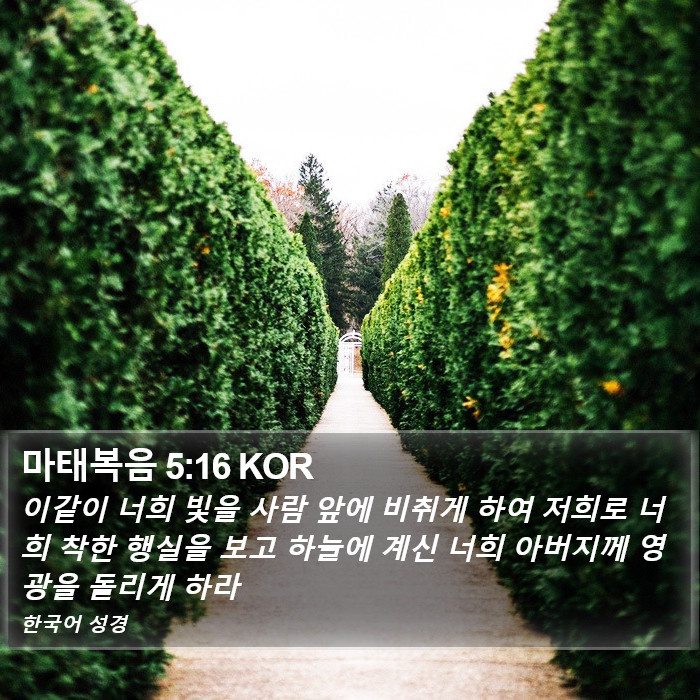 마태복음 5:16 KOR Bible Study