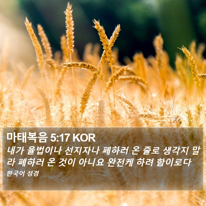 마태복음 5:17 KOR Bible Study