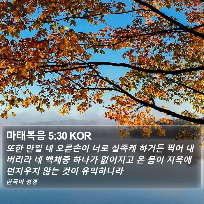 마태복음 5:30 KOR Bible Study