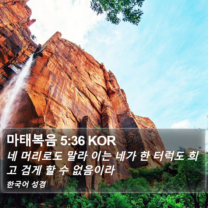 마태복음 5:36 KOR Bible Study