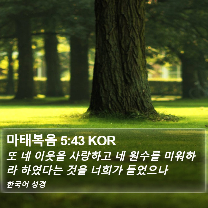 마태복음 5:43 KOR Bible Study