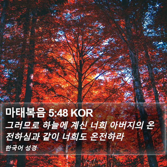 마태복음 5:48 KOR Bible Study