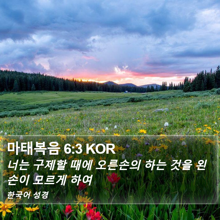 마태복음 6:3 KOR Bible Study