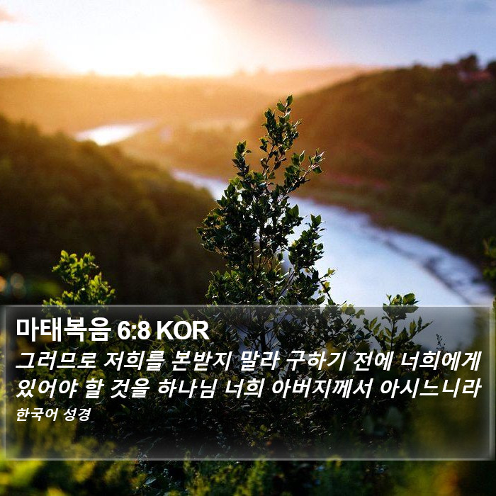 마태복음 6:8 KOR Bible Study