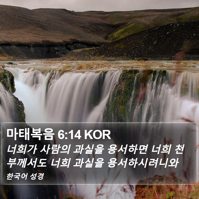 마태복음 6:14 KOR Bible Study