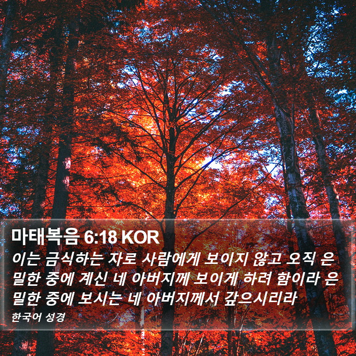 마태복음 6:18 KOR Bible Study