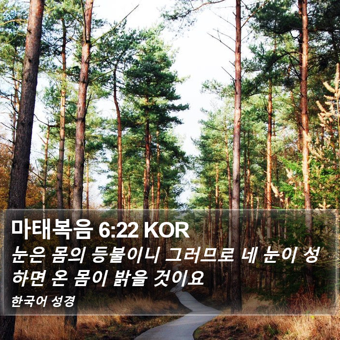 마태복음 6:22 KOR Bible Study