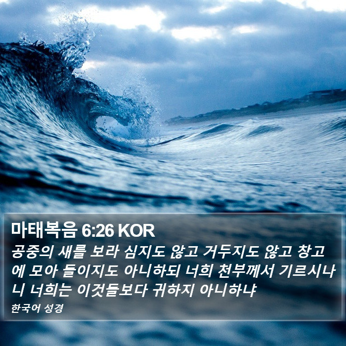 마태복음 6:26 KOR Bible Study