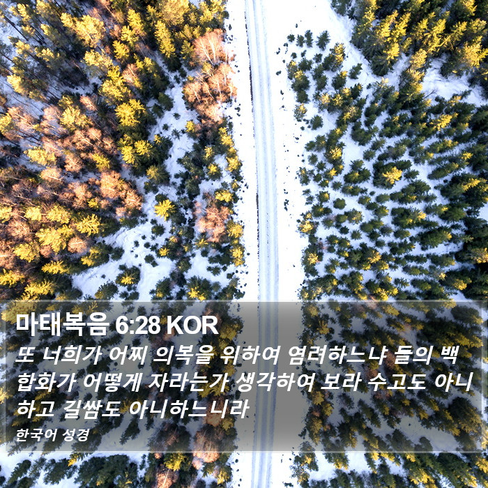 마태복음 6:28 KOR Bible Study