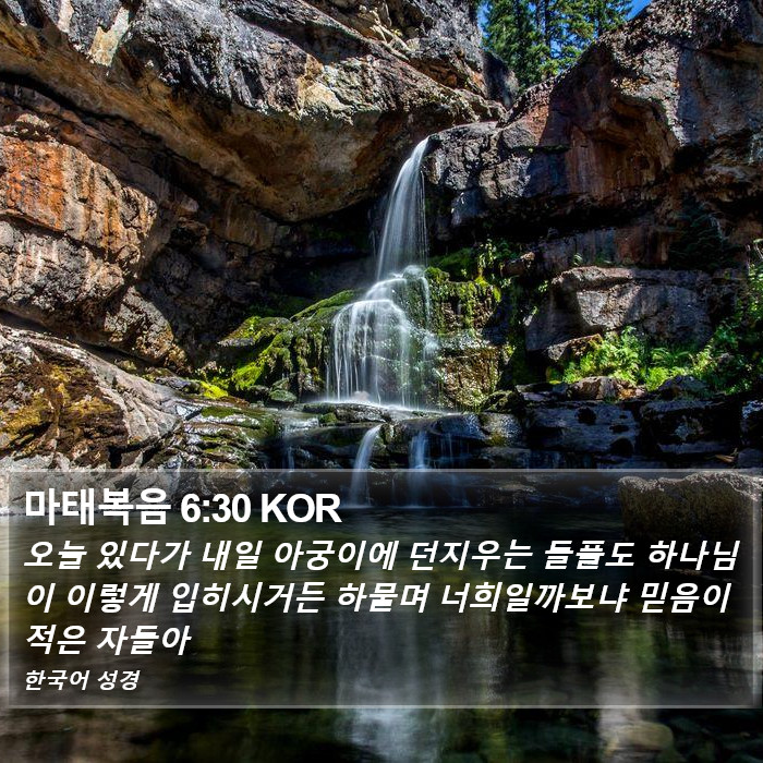 마태복음 6:30 KOR Bible Study