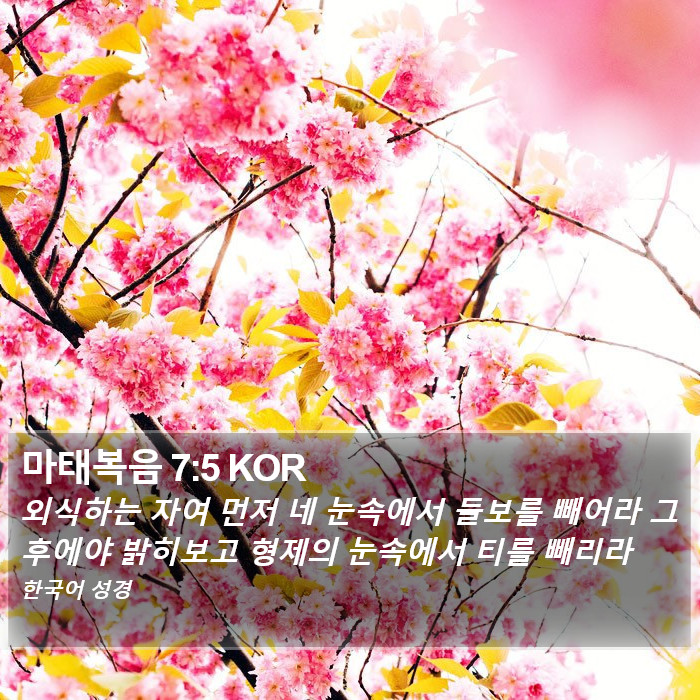 마태복음 7:5 KOR Bible Study