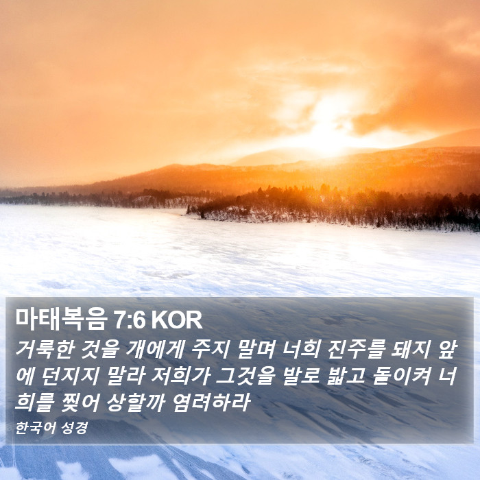 마태복음 7:6 KOR Bible Study