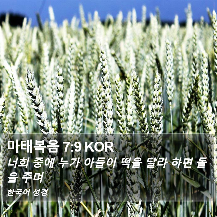 마태복음 7:9 KOR Bible Study
