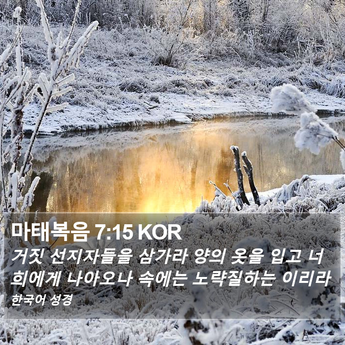 마태복음 7:15 KOR Bible Study