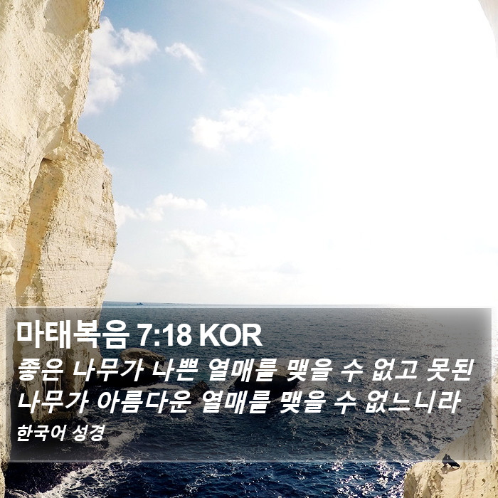 마태복음 7:18 KOR Bible Study