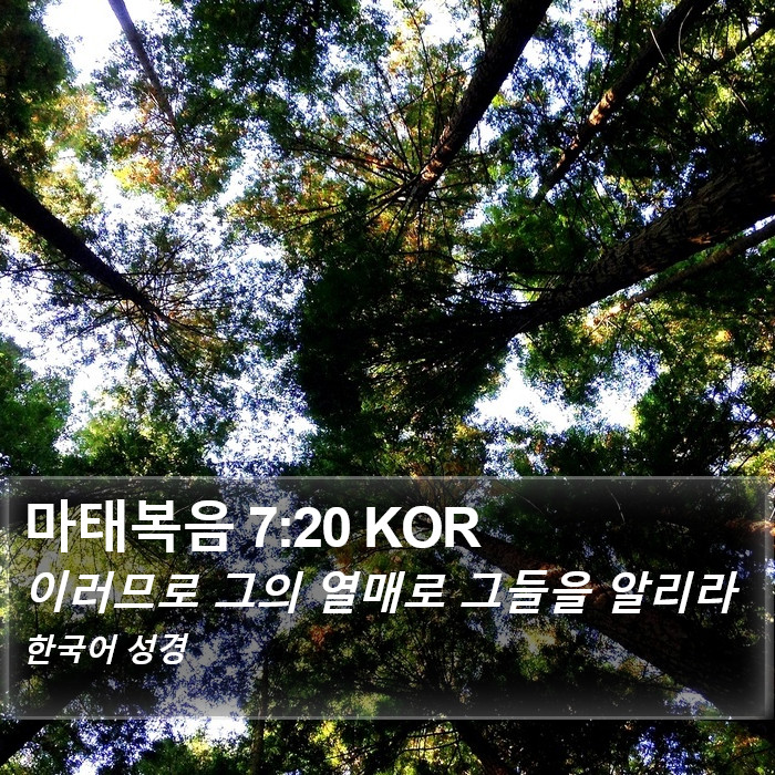 마태복음 7:20 KOR Bible Study