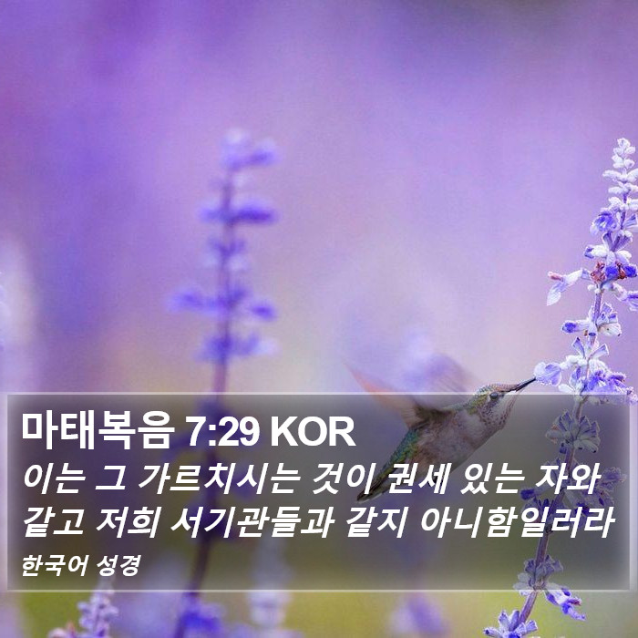 마태복음 7:29 KOR Bible Study
