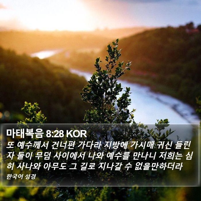 마태복음 8:28 KOR Bible Study