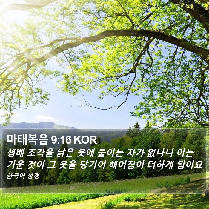마태복음 9:16 KOR Bible Study