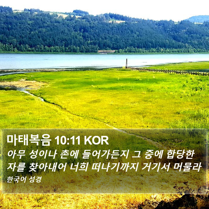 마태복음 10:11 KOR Bible Study