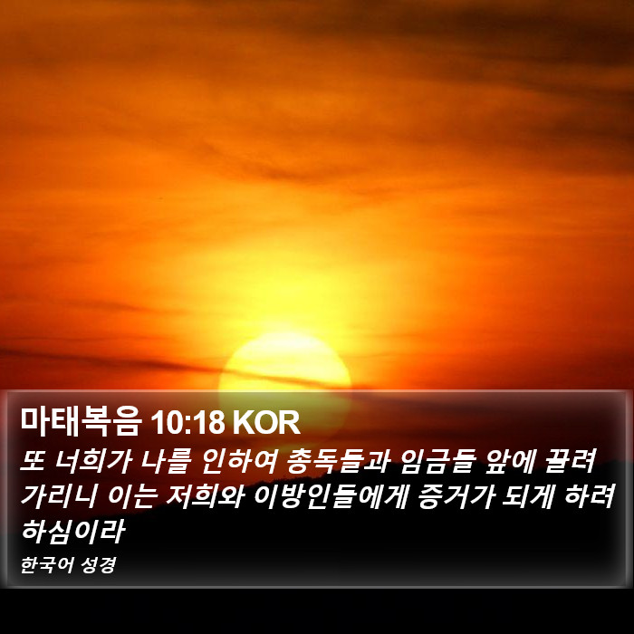 마태복음 10:18 KOR Bible Study